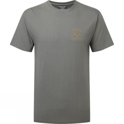 Playeras Montane Piolet Hombre - Gris - Chile JYI639814